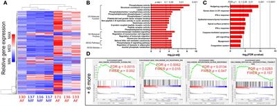 Lasting differential gene expression of circulating CD8 T cells in chronic HCV infection with cirrhosis identifies a role for Hedgehog signaling in cellular <mark class="highlighted">hyperfunction</mark>